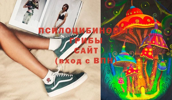 тгк Магадан