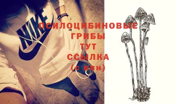 тгк Магадан