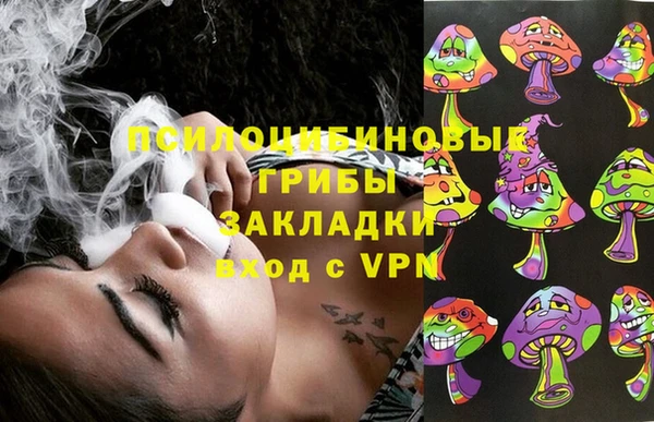 тгк Магадан