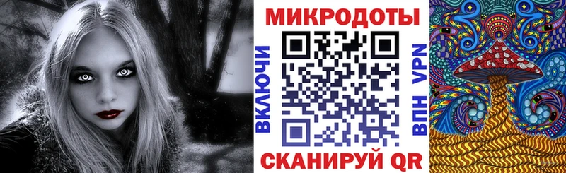 Псилоцибиновые грибы прущие грибы  Щёлково 